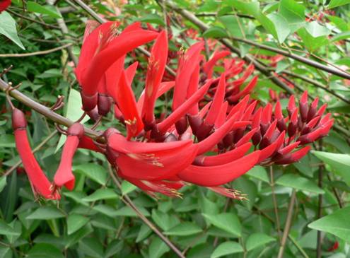 伟德国际1946源于英国